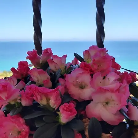 Villa Nausica Capo Vaticano Exterior foto