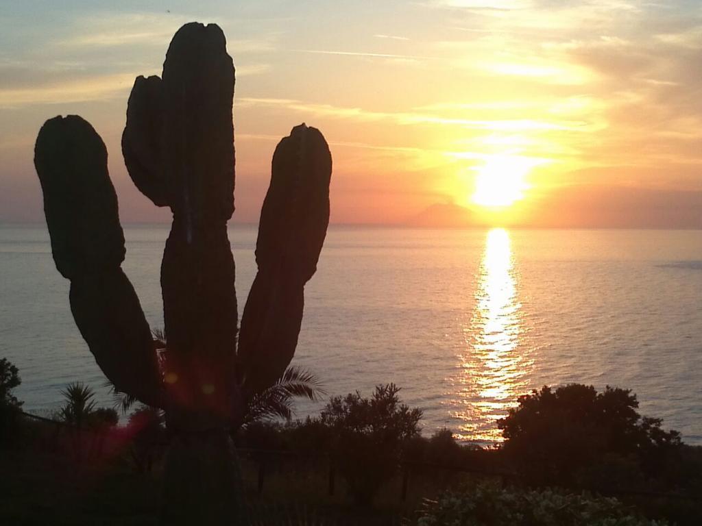 Nausica Apartment Capo Vaticano